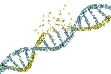 Цепочка ДНК на белом фоне