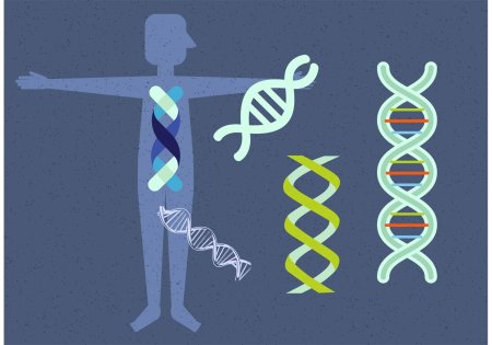 Изображение ДНК человека