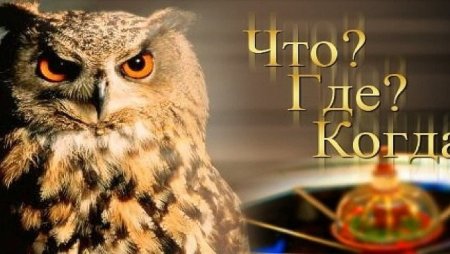Сова что где когда