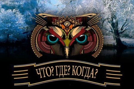 Сова что где когда