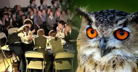 Интеллектуальная игра что где когда