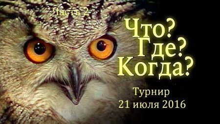 Сова что где когда