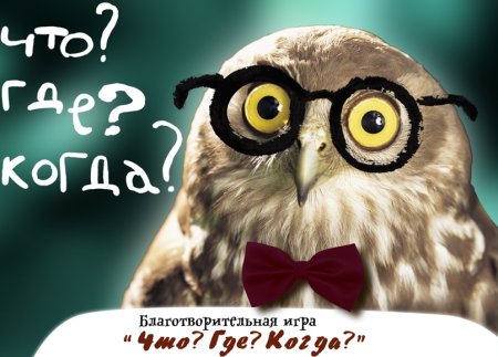 Сова что где когда