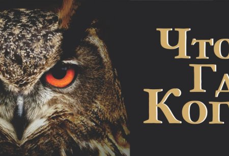 Игра "что? Где? Когда?"