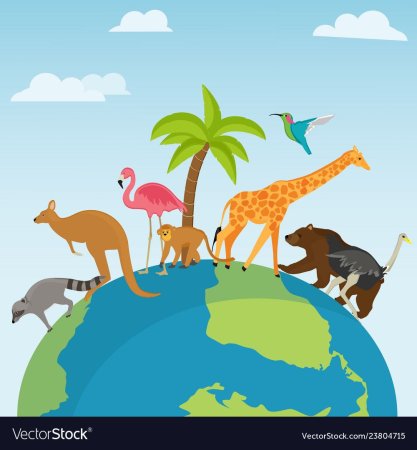 Экология животные вектор