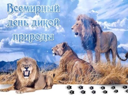 Всемирный день дикой природы