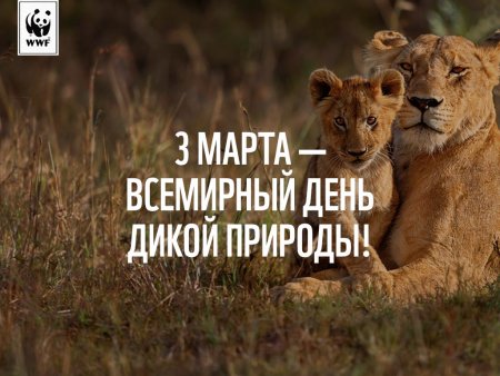 День дикой природы 3 марта