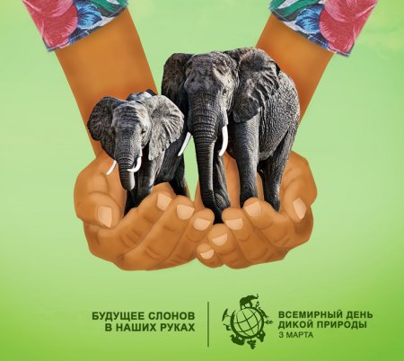 3 Марта Всемирный день дикой природы