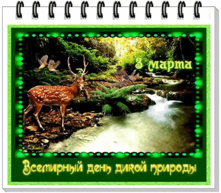 День дикой природы открытки