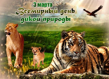 3 Марта Всемирный день дикой природы