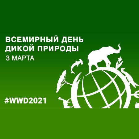 Всемирный день дикой природы
