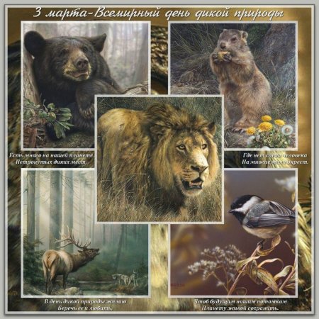 3 Марта Всемирный день дикой природы