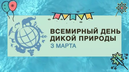 3 Марта Всемирный день дикой природы
