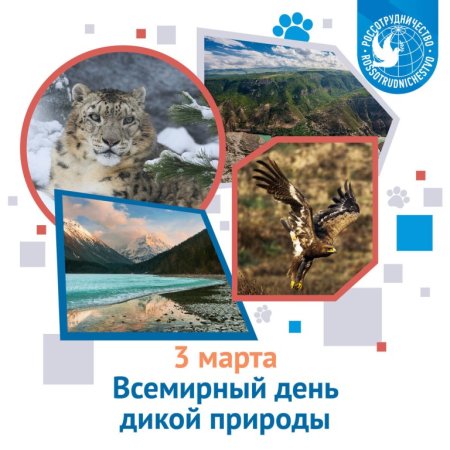 Всемирный день дикой природы