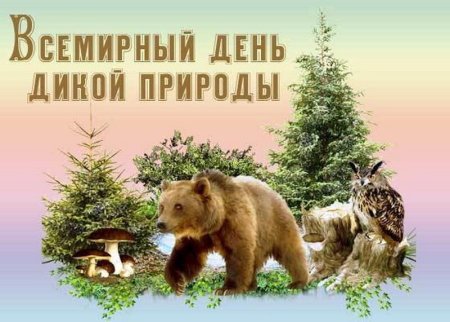 День пробуждения медведя