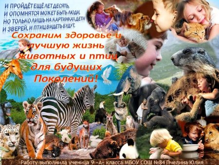 Международный день защиты животных