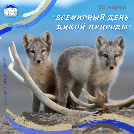 Всемирный день дикой природы гифка