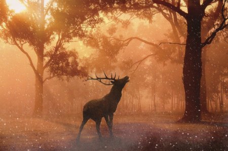 Всемирный день дикой природы 2021