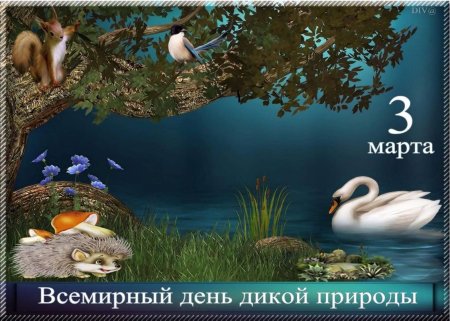 День дикой природы 3 марта