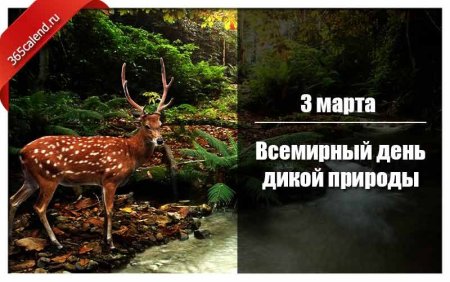 День дикой природы 2021