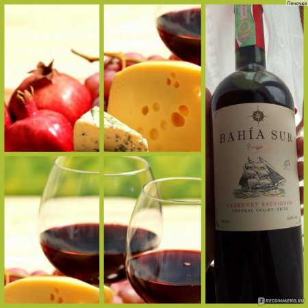 Вино из Чили марка