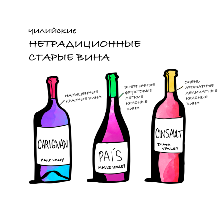 Вино Паис Чили