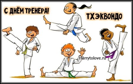 С днем тренератеквандо