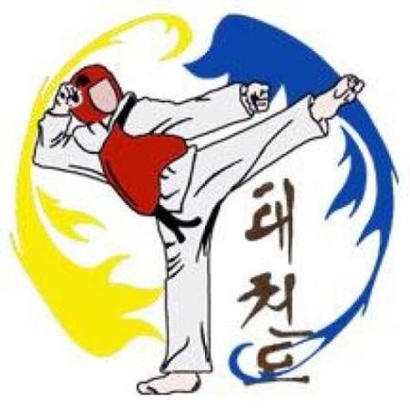 Тхэквондо ВТФ рисунок