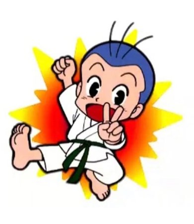 С днём рождения каратиста