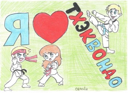 Я любовь таэквондо