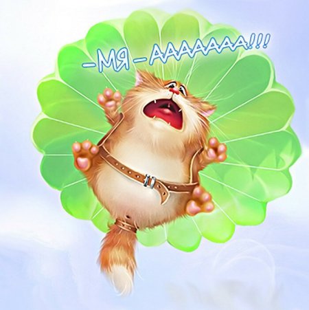 Веселые открытки