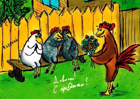 День курицы