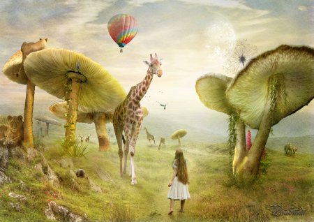 Страна грез