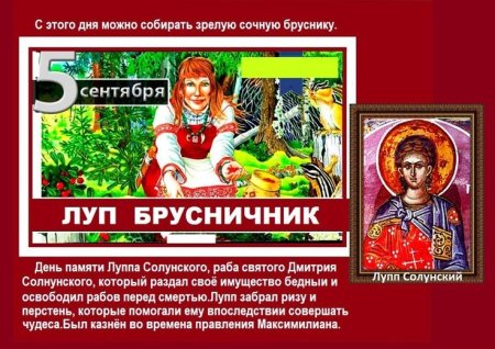 5 Сентября Луппа брусничник