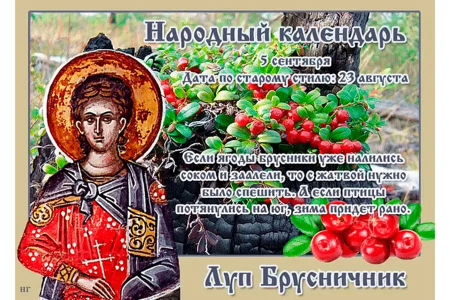 Праздник Луппа брусничник