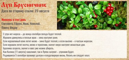Луп брусничник народный праздник