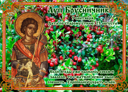 5 Сентября - луп брусничник икона