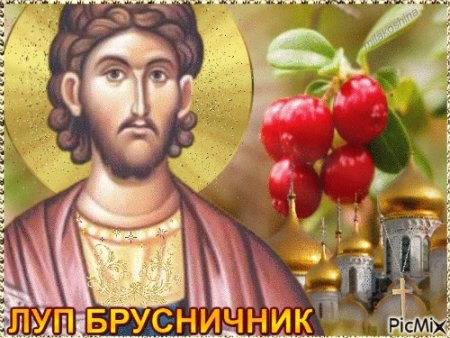 Святой Луппа брусничник