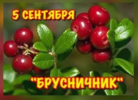 Праздник Луппа брусничник