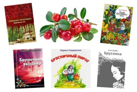 Луп брусничник 5 сентября