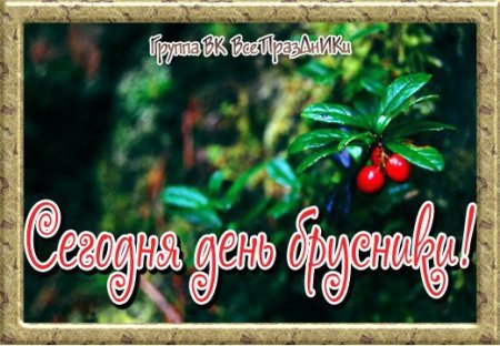 Открытки луп брусничник