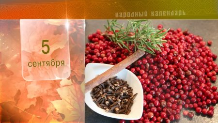 Луп брусничник 5 сентября