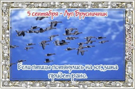 Михей Тиховей 27 августа