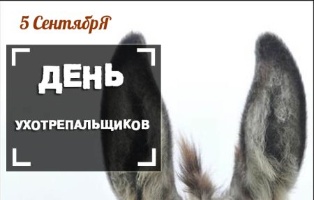 5 Сентября праздник ухотрепальщиков