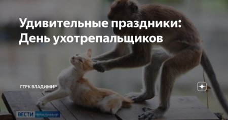 День ухотрепальщиков