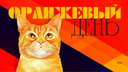 Русский оранжевый кот