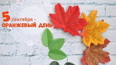 Оранжевый день праздник