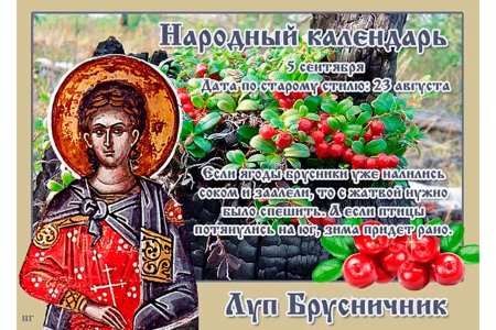 Праздник Луппа брусничник