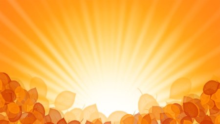 Красивый фон в оранжевых тонах