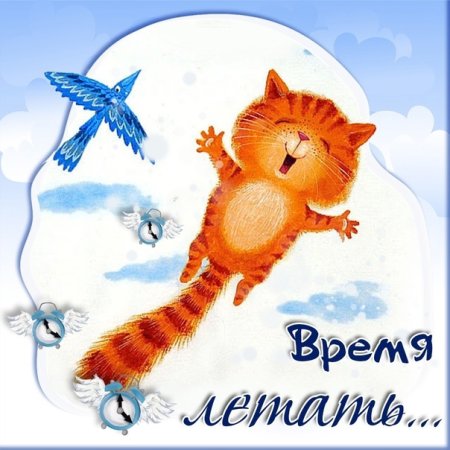 День полетов над землей 6 сентября